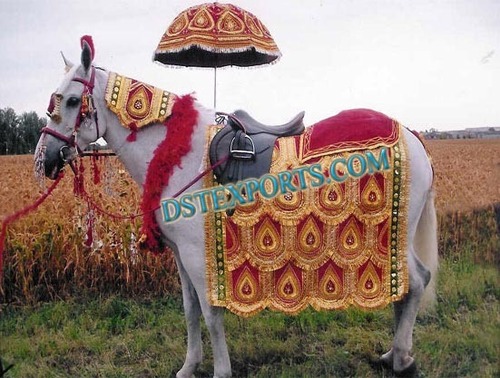 Wedding Horse Costume