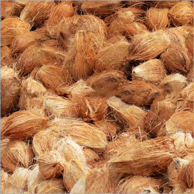 Full Husked Coconuts