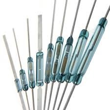 Silver Glass Reed Switch