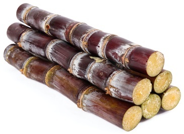 Sugar Cane Swizzle Sticks