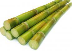 Raw Sugarcane Swizzle Sticks
