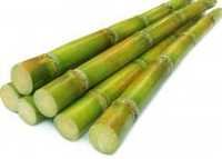 Raw Sugarcane Swizzle Sticks