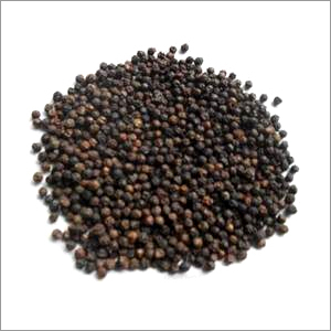 Black Pepper Seed
