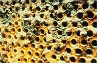 Cooling Water Chemicals