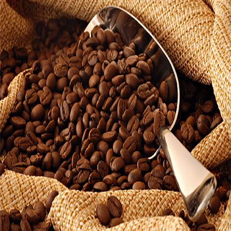 Coffee Beans - Arabica Variety, Fresh Processing, Smooth Flavor | Strong Aroma, Rich Taste, Long Shelf Life, Antioxidant-Rich