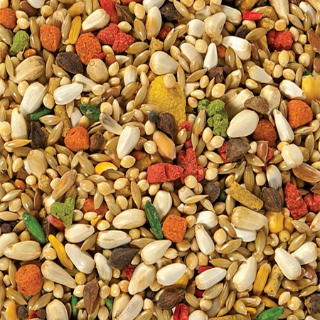 Seeds - Cumin Variety 99% Purity Moisture 0.2% Ash 0.015% Weight 50-500g Multi-Color Vegetable Grade Shelf Life 6 Months