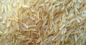 Grains & Seeds