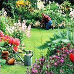 Gardening Services