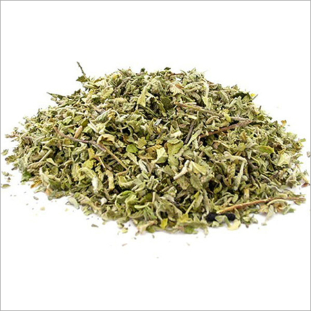 Damiana Extract