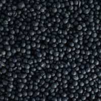 Humic Acid Granules