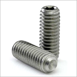 SS Allen Grub Screw