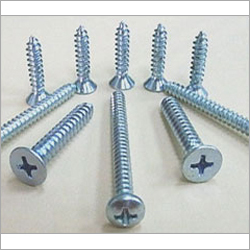 Ss Screws