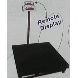 Heavy Duty Platform Scale