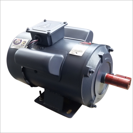 Industrial Induction Motor