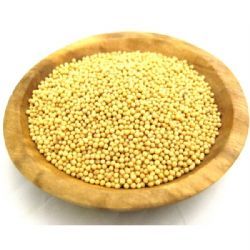 Yellow Mustard Seeds