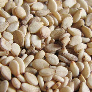 Sesame Seeds