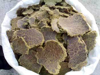 Cattle Feed Supplement