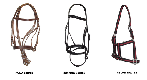 Body Harness