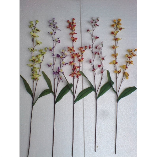 Orchid
