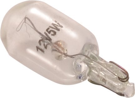 Miniature Bulbs