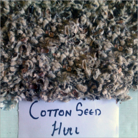 Cotton Seed Hulls