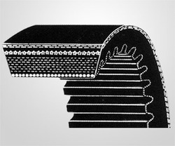 Variable Speed Belts - Material: Pu / Rubber