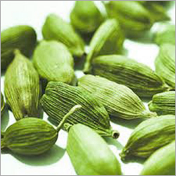 Cardamom