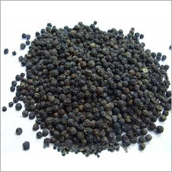Black Pepper
