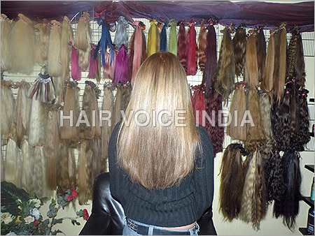 Wigs Human Hair