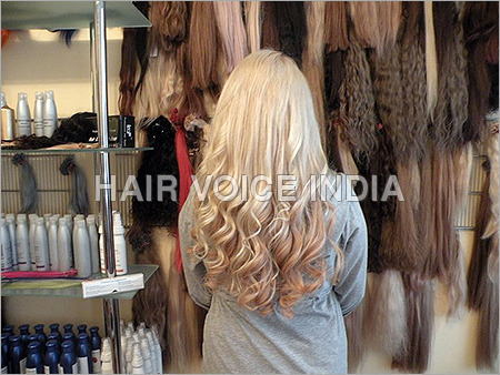 Human Hair Wigs