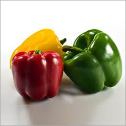 Organic Capsicum