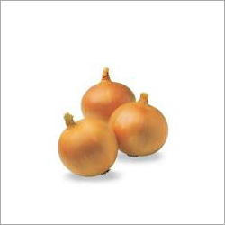 Organic Onion