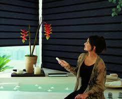 Remote Control Window Blinds