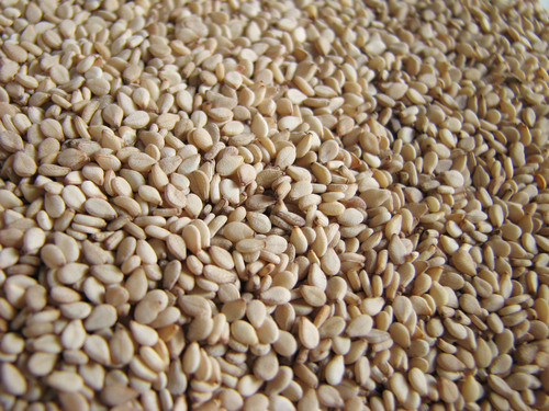 white premium Sesame Seeds