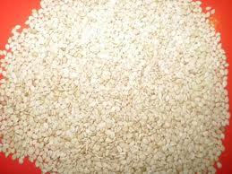 Sesame Seeds - Hulled White Seeds, 50KG Bags | 99.99% Purity, Below 6% Moisture, Rich Flavor, Versatile Use in Bakery & Confectionery