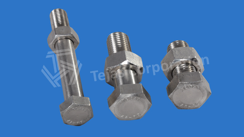 Stainless Steel Hex Nut