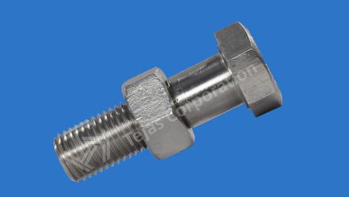 Stainless Steel Hex Bolt