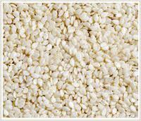 Indian Sesame Seeds Best Price