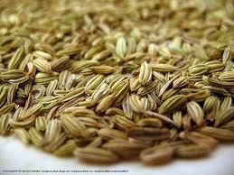 Seasonal Fennel flavours seed