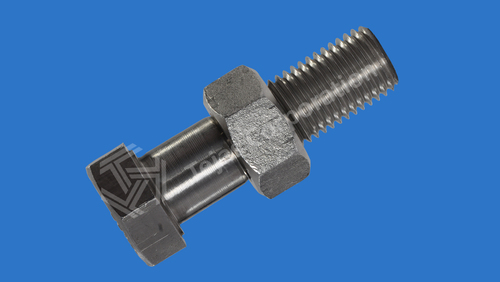Stainless Steel Hexagonal Bolt