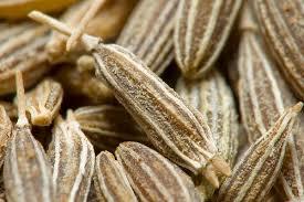 Indian Style Cumin Seeds - Brown