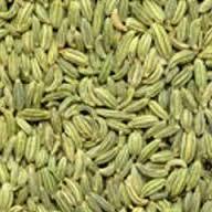 Fennel Seeds