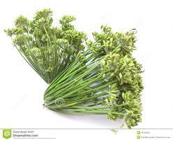 Quality Fennel Seeds