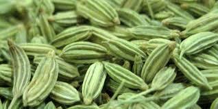 SWEET FENNEL TEA