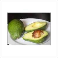 Fresh Avocado