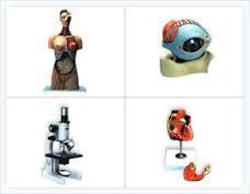 Biology Equipment