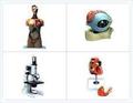 Biology Equipment