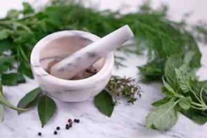 Bhringraj Powder