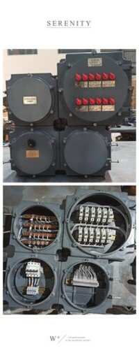 Flameproof Distribution Board - Cover Material: Metal Base