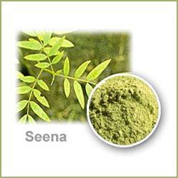 Senna Leaves Powder